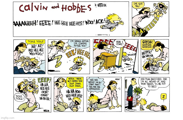 image tagged in calvin and hobbes,comics | made w/ Imgflip meme maker