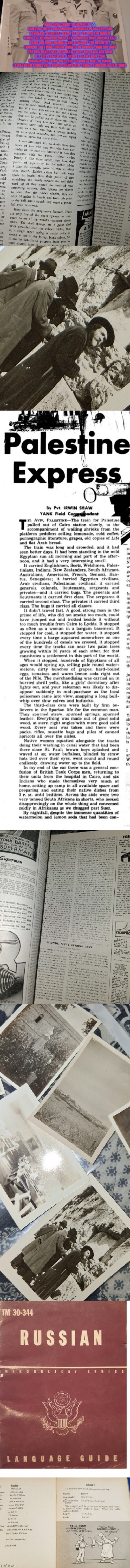 Old news reknewed:ww2 history decodes | image tagged in ww2 | made w/ Imgflip meme maker