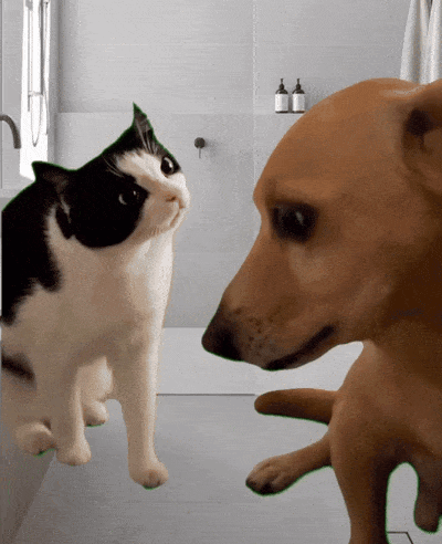 Dog Blank Meme Template