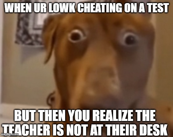 welp we are cooked | WHEN UR LOWK CHEATING ON A TEST; BUT THEN YOU REALIZE THE TEACHER IS NOT AT THEIR DESK | image tagged in scare doggo,memes | made w/ Imgflip meme maker