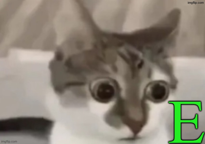 E | E | image tagged in bombastic side eye cat,memes,cat,green | made w/ Imgflip meme maker
