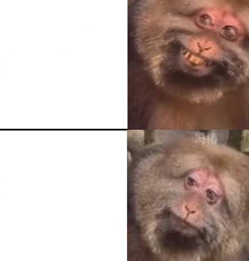 monkey smile Blank Meme Template