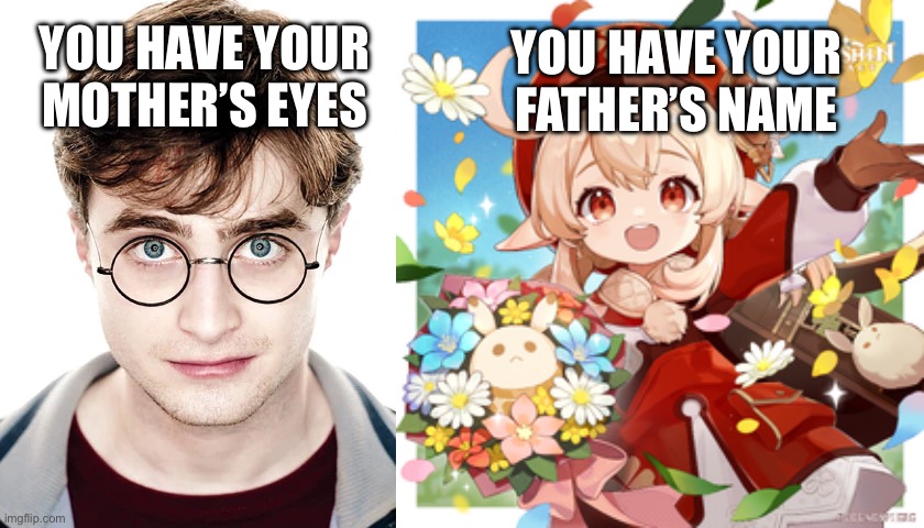 Klee is basically the Harry Potter of Mondstadt. Just reversed. | YOU HAVE YOUR MOTHER’S EYES; YOU HAVE YOUR FATHER’S NAME | image tagged in genshin impact,harry potter | made w/ Imgflip meme maker