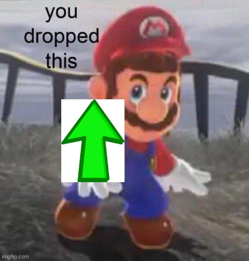 Mario You dropped this | image tagged in mario you dropped this | made w/ Imgflip meme maker
