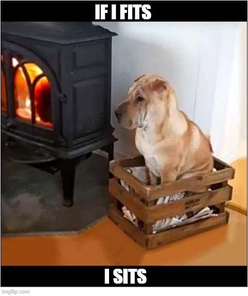 A Shar Pei By The Fire ! | IF I FITS; I SITS | image tagged in dogs,shar pei,if i fits | made w/ Imgflip meme maker