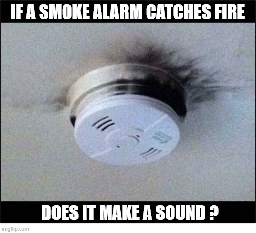 Just A Thought ... | IF A SMOKE ALARM CATCHES FIRE; DOES IT MAKE A SOUND ? | image tagged in smoke alarm,fire,sounds | made w/ Imgflip meme maker