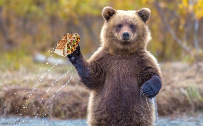 Would you accept? | image tagged in bye bye bear | made w/ Imgflip meme maker