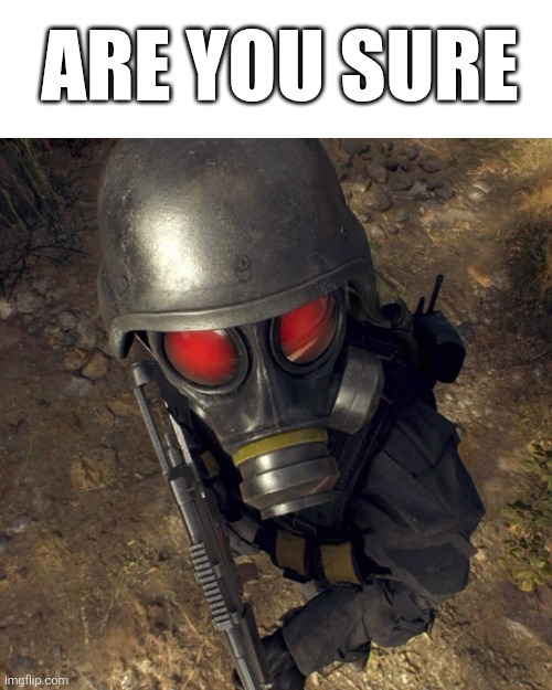 ARE YOU SURE H.U.N.K | ARE YOU SURE | image tagged in fun | made w/ Imgflip meme maker