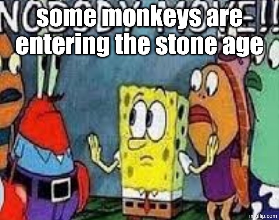 NOBODY MOVE!! | some monkeys are entering the stone age | image tagged in nobody move | made w/ Imgflip meme maker