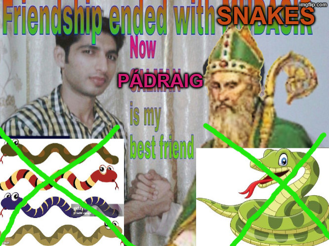 This is what happened right? | SNAKES; PÁDRAIG | image tagged in friendship ended,st patrick's day,st patricks day,irish | made w/ Imgflip meme maker