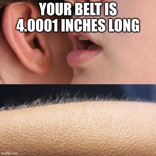 Jrotc Inspection | YOUR BELT IS 4.0001 INCHES LONG | image tagged in whisper and goosebumps | made w/ Imgflip meme maker