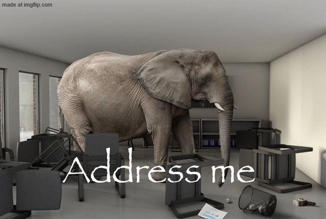 Address Me Elephant HD | image tagged in adress me elephant | made w/ Imgflip meme maker