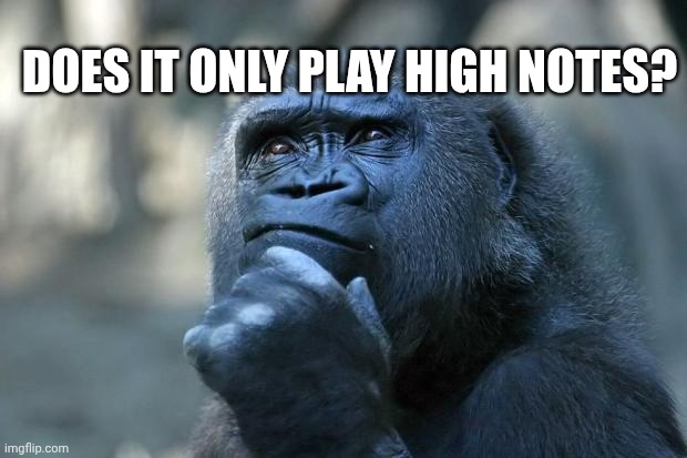 Deep Thoughts | DOES IT ONLY PLAY HIGH NOTES? | image tagged in deep thoughts | made w/ Imgflip meme maker