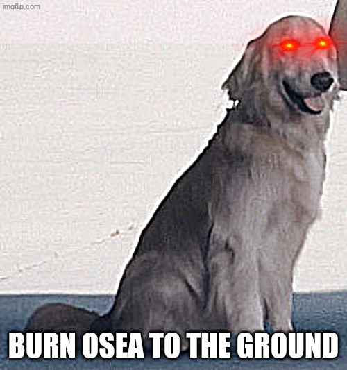 Ace Combat 7 JPEG Dog | BURN OSEA TO THE GROUND | image tagged in ace combat 7 jpeg dog | made w/ Imgflip meme maker