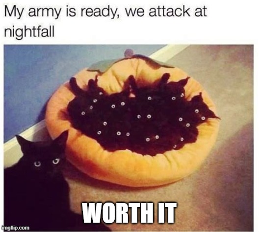 got comment banned. im not sorry | WORTH IT | image tagged in grimnemo's army | made w/ Imgflip meme maker