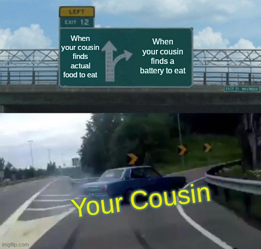 cousin making dumb choice | When your cousin finds actual food to eat When your cousin finds a battery to eat Your Cousin | image tagged in memes,left exit 12 off ramp,cousin | made w/ Imgflip meme maker