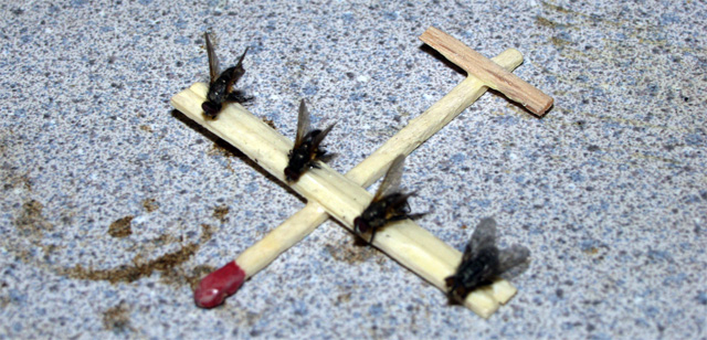 Somalia  sends private fly plane Blank Meme Template