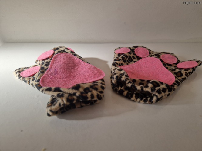 Just found out my sister isncosplaying as animals | made w/ Imgflip meme maker