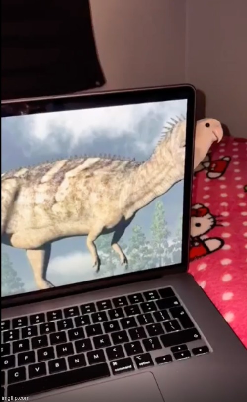 Dinsor :3 | made w/ Imgflip meme maker