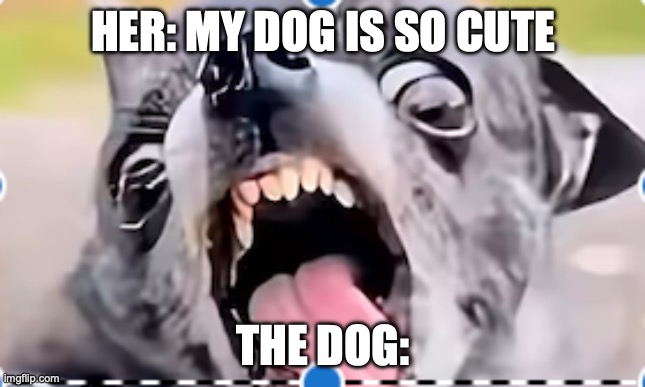 dog | HER: MY DOG IS SO CUTE; THE DOG: | made w/ Imgflip meme maker