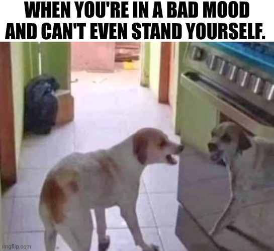 When You're In A Bad Mood And Can't Even Stand Yourself | WHEN YOU'RE IN A BAD MOOD AND CAN'T EVEN STAND YOURSELF. | image tagged in chrisjoines1 | made w/ Imgflip meme maker