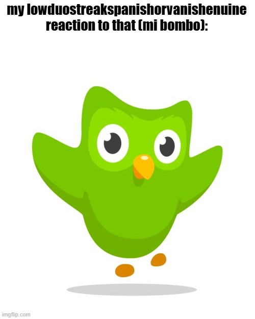 things duolingo teaches you | my lowduostreakspanishorvanishenuine reaction to that (mi bombo): | image tagged in things duolingo teaches you | made w/ Imgflip meme maker