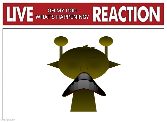 Live OH My God What's Happening Reaction | OH MY GOD WHAT'S HAPPENING? | image tagged in live reaction | made w/ Imgflip meme maker