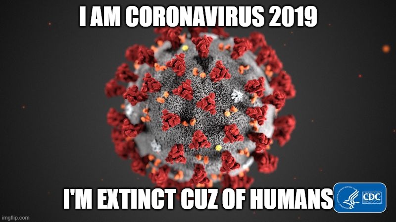 i am EXTINCT | I AM CORONAVIRUS 2019 I'M EXTINCT CUZ OF HUMANS | image tagged in covid 19 | made w/ Imgflip meme maker