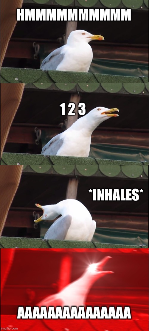 Inhaling Seagull Meme | HMMMMMMMMMM; 1 2 3; *INHALES*; AAAAAAAAAAAAAAA | image tagged in memes,inhaling seagull | made w/ Imgflip meme maker