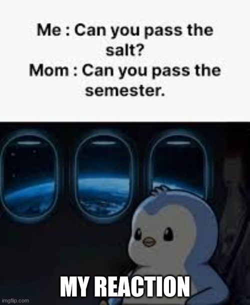 Can you pass the salt/can you pass the semester | MY REACTION | image tagged in can you pass the salt/can you pass the semester | made w/ Imgflip meme maker