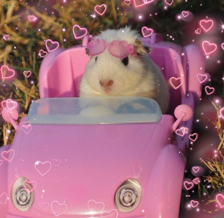 the horrors persist Blank Meme Template