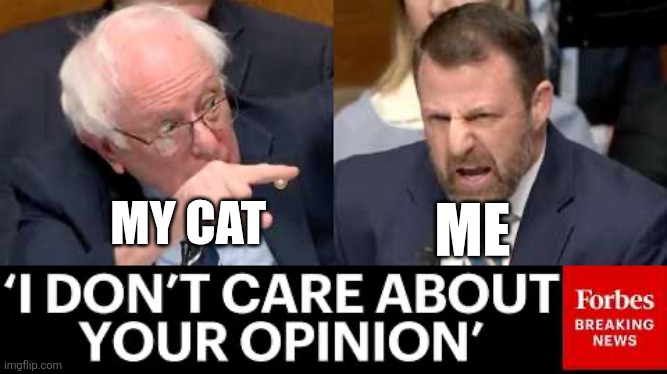 I don't care about your opinion | ME; MY CAT | image tagged in i don't care about your opinion | made w/ Imgflip meme maker