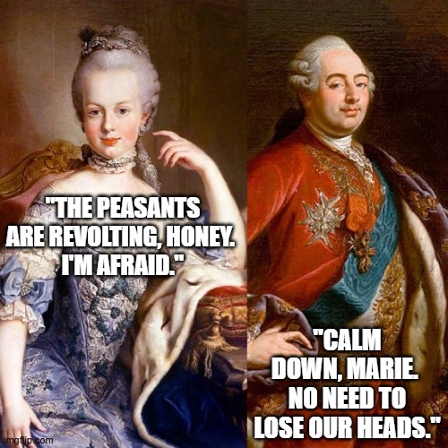 TBF people are pretty revolting | "THE PEASANTS ARE REVOLTING, HONEY. 
I'M AFRAID."; "CALM DOWN, MARIE. 
NO NEED TO LOSE OUR HEADS." | image tagged in historical meme,history memes,french revolution,marie antoinette,king louis xvi | made w/ Imgflip meme maker