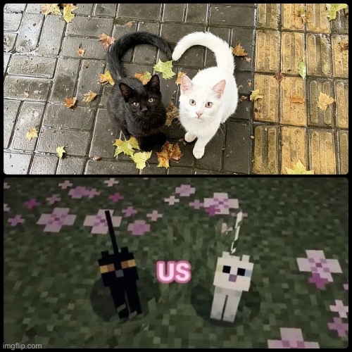 i wanna play minecraft with you n fall asleep in your arms | made w/ Imgflip meme maker