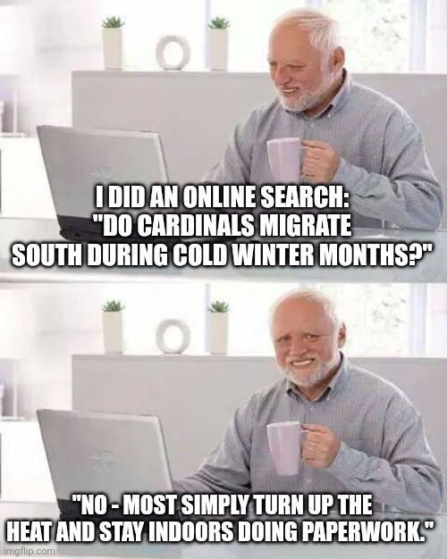 Birds of a feather? | I DID AN ONLINE SEARCH: "DO CARDINALS MIGRATE SOUTH DURING COLD WINTER MONTHS?"; "NO - MOST SIMPLY TURN UP THE HEAT AND STAY INDOORS DOING PAPERWORK." | image tagged in memes,hide the pain harold,catholicism,sarcasm,satire,cardinals | made w/ Imgflip meme maker