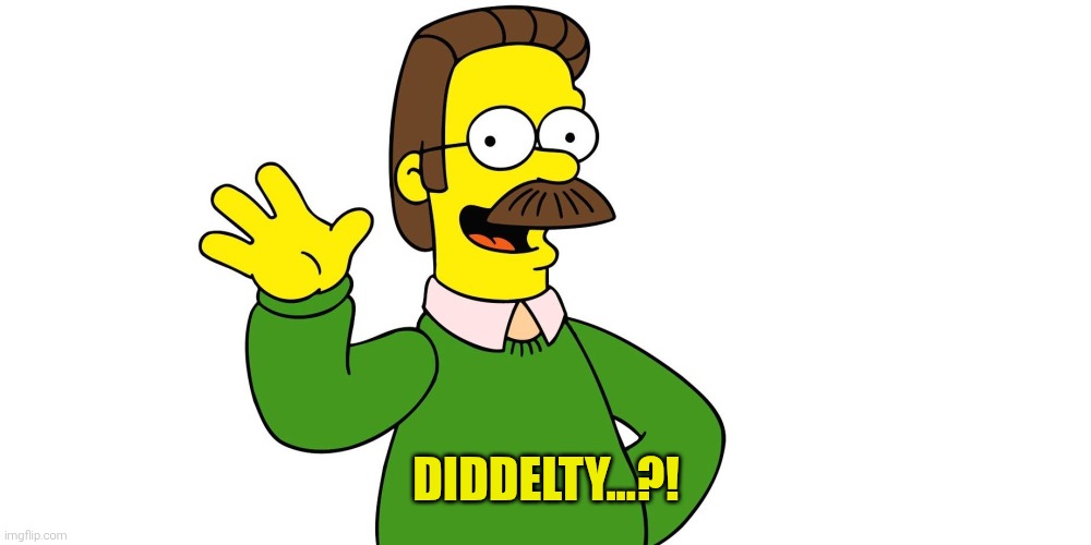 Ned Flanders Wave | DIDDELTY...?! | image tagged in ned flanders wave | made w/ Imgflip meme maker