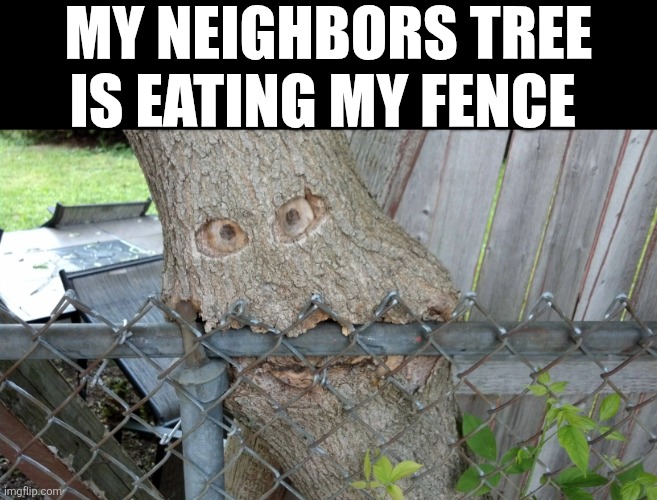 My Neighbors Tree | MY NEIGHBORS TREE IS EATING MY FENCE | image tagged in chrisjoines1 | made w/ Imgflip meme maker