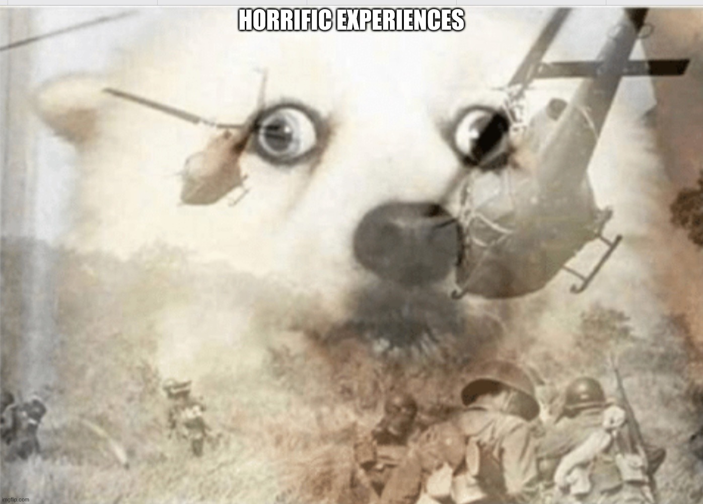 PTSD dog | HORRIFIC EXPERIENCES | image tagged in ptsd dog | made w/ Imgflip meme maker
