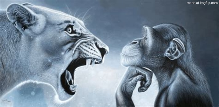 tiger yell at pondering monkey | image tagged in tiger yell at pondering monkey | made w/ Imgflip meme maker