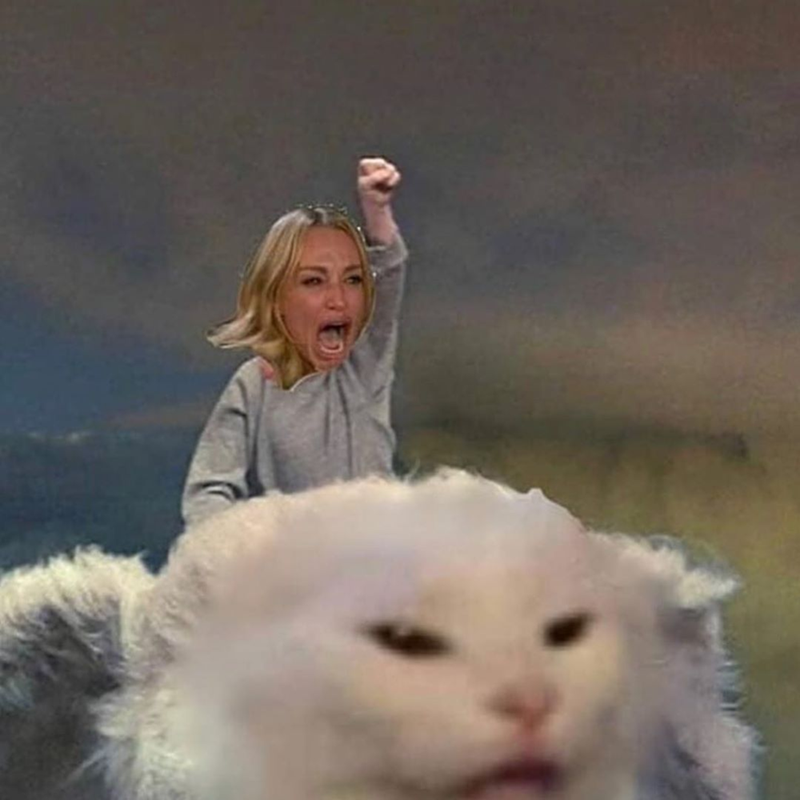Never Ending Story Yelling at Cat Blank Meme Template