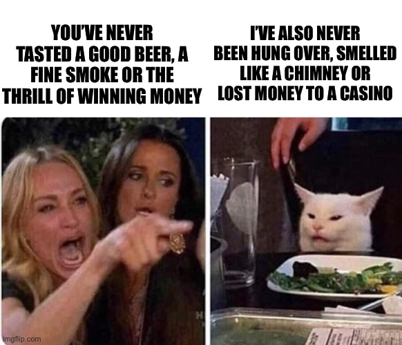 Lady screams at cat | YOU’VE NEVER TASTED A GOOD BEER, A FINE SMOKE OR THE THRILL OF WINNING MONEY I’VE ALSO NEVER BEEN HUNG OVER, SMELLED LIKE A CHIMNEY OR LOST  | image tagged in lady screams at cat | made w/ Imgflip meme maker