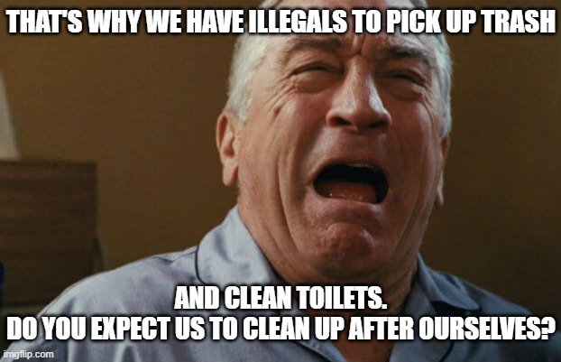 deniro crying | THAT'S WHY WE HAVE ILLEGALS TO PICK UP TRASH AND CLEAN TOILETS.
DO YOU EXPECT US TO CLEAN UP AFTER OURSELVES? | image tagged in deniro crying | made w/ Imgflip meme maker