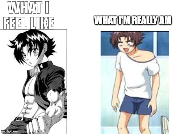 please use this template | WHAT I FEEL LIKE; WHAT I'M REALLY AM | made w/ Imgflip meme maker