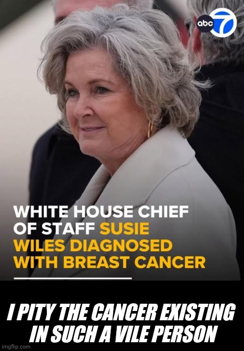 cancer | I PITY THE CANCER EXISTING 
IN SUCH A VILE PERSON | image tagged in vile,wiles | made w/ Imgflip meme maker