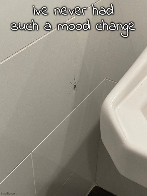 i was vibing n then almost screamed bro | ive never had such a mood change | made w/ Imgflip meme maker