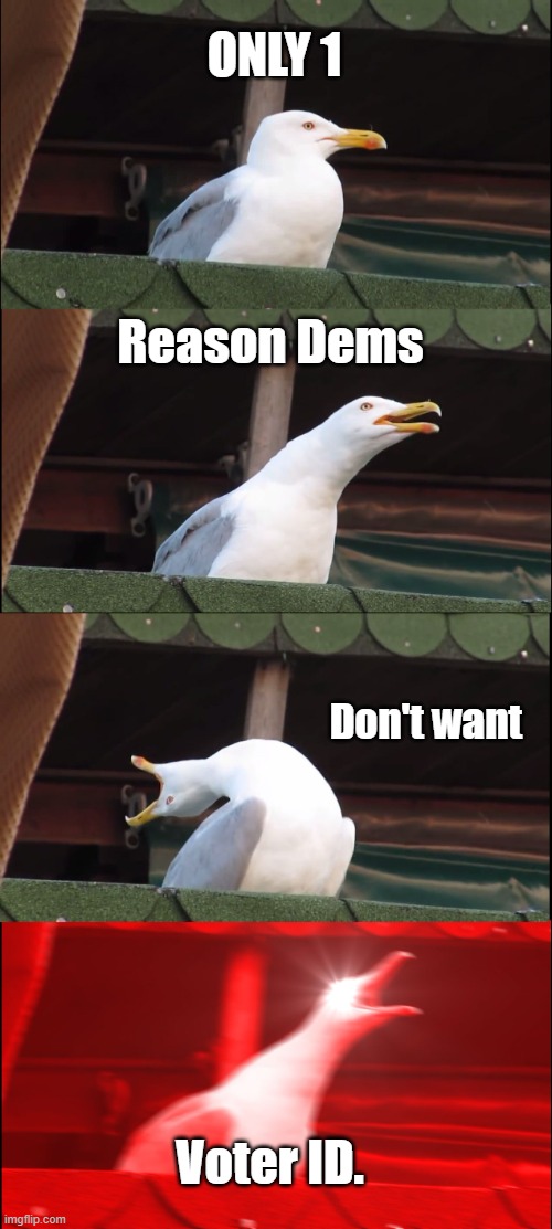 Schiff votes NO what a surprise ,rotten to the core Schiff. | ONLY 1; Reason Dems; Don't want; Voter ID. | image tagged in memes,inhaling seagull | made w/ Imgflip meme maker