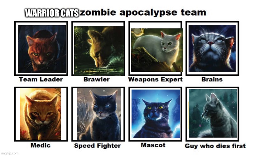 These are: Firestar, Lionblaze, Needletail, Jayfeather, Alderheart, Crowfeather, Graystripe, and Feathertail | WARRIOR CATS | image tagged in mah zombie apocalypse team | made w/ Imgflip meme maker