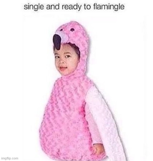 Single and..... | image tagged in repost | made w/ Imgflip meme maker