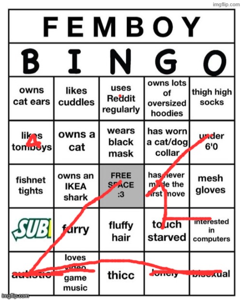 BINGOOOOOOOOOO :3 | image tagged in femboy bingo | made w/ Imgflip meme maker