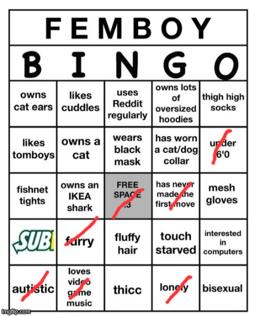 Why am I doing ts bingo :sob: | image tagged in femboy bingo | made w/ Imgflip meme maker
